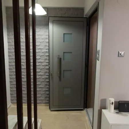 Angel Mezonet Amaliada